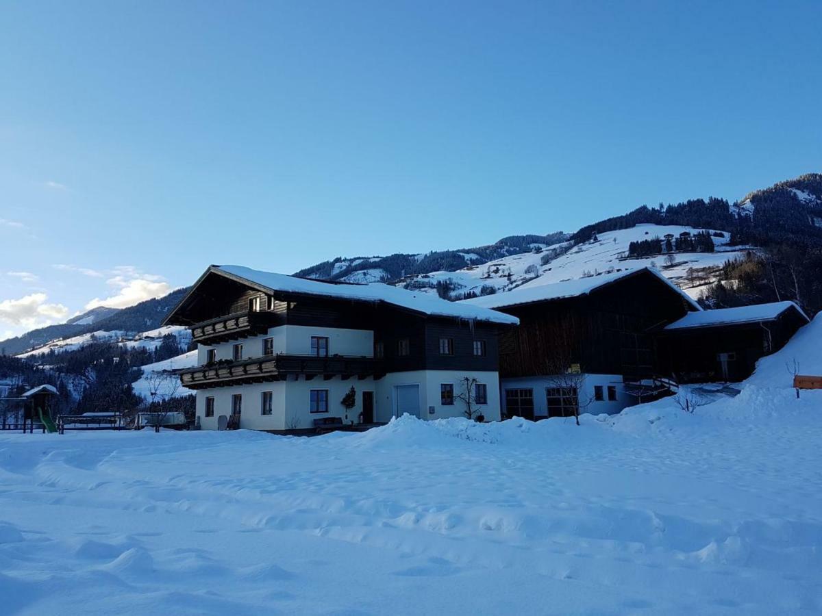 Rieserhof/Fam. Meissnitzer Taxenbach Exterior foto